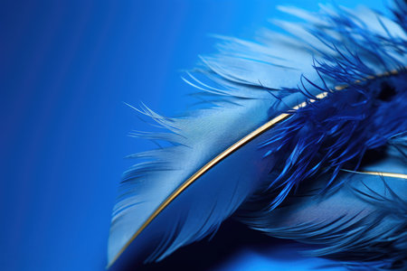 Blue feathers, bokeh lights on the background, background imageの素材