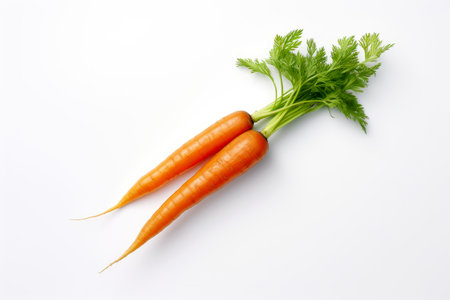 Carrot vegetable with leaves isolated on white background cutoutの素材