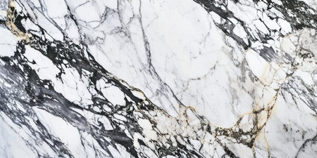 Banner with a marble white surfaceの素材