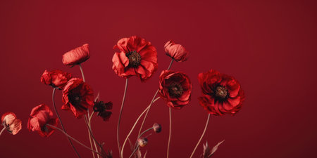 Elegant red poppies with detailed petals against a deep redの素材