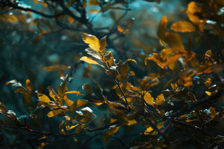 Autumn leaves in golden light. Nature and seasonal concept with copy spaceの素材