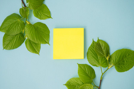 A blank sheet, a yellow sticker, a top view, a branch with green leaves on a bright blue table....