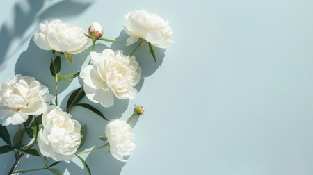 White peonies with leaves floating on water surface. Floral photography with copy space. Serenity and spa concept for design and print. Flat lay compositionの素材