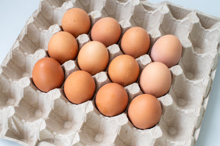 Square pallet for recycling chicken eggs with red chicken eggs. View from aboveの写真素材