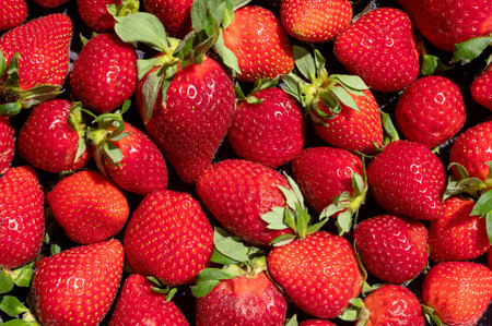 From above closeup of fresh ripe strawberries with green leaves as background representing concept of healthy foodの写真素材