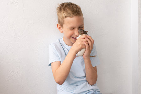 Joyful Boy Holding and Laughing with Pet Rat at Homeの写真素材