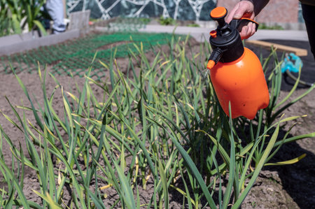 A gardener sprays greenery in the garden with a spray gun. The concept of pest control. Care of...