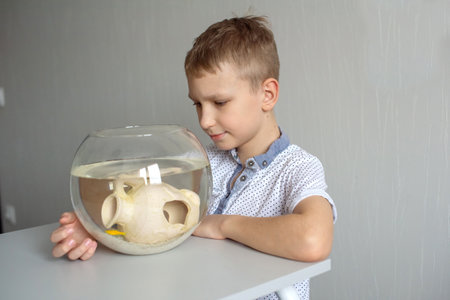 A cute boy is sitting near a transparent aquarium in the room and tapping on the aquarium with his fingerの写真素材