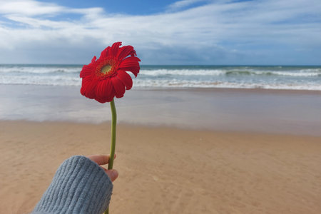 Single red gerbera daisy held against a beach background. Close-up photography with copy space for design and print. Relaxation and nature conceptの写真素材