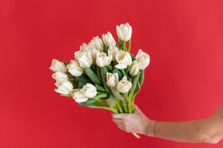 White tulips bouquet in hand against red background. Studio floral portrait with place for text. Springtime flowers and Easter celebration concept. Design for greeting card, invitation, posterの写真素材