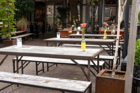 Rustic outdoor cafe ambiance with wooden benches and floral decorの写真素材