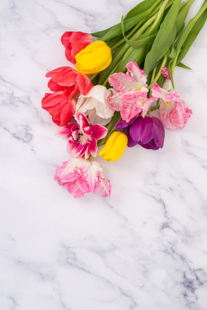 Assorted tulips and fringed pink flowers on marble background. Flat lay floral composition with copy space for spring season designの写真素材