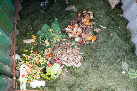 Processing of organic waste, compost preparationの写真素材