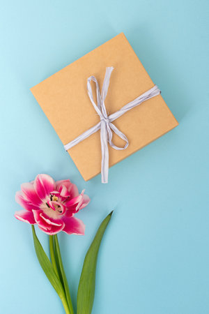 A captivating image featuring a pink tulip beside a golden gift box tied with a white ribbon, all set against a soft blue backdropの写真素材