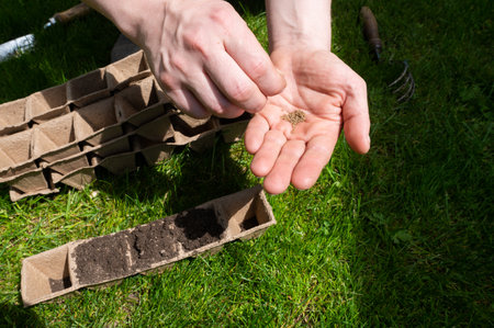 Close-up shot of hands holding seeds with biodegradable pots and gardening tools in the background, ready for spring plantingの写真素材