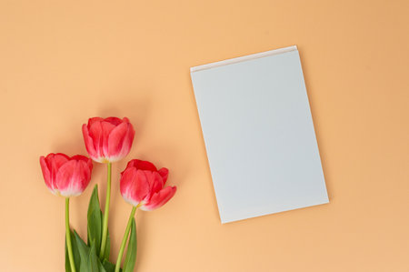 Red tulips beside blank white canvas on peach background. Minimalistic flat lay with space for text, ideal for springtime invitation designの写真素材