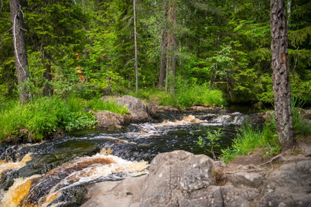 Forest stream with rocks and lush greenery. Nature and wilderness concept. Design for eco-tourism poster, environmental awareness, and nature conservation campaignsの写真素材