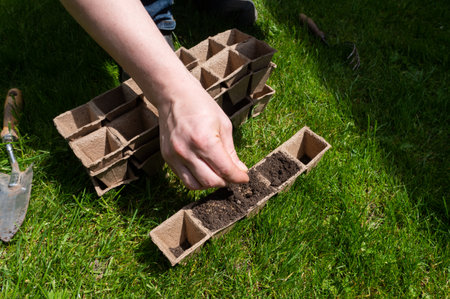 Hands carefully preparing biodegradable pots filled with soil on a lush green lawn, showcasing eco-friendly gardening practicesの写真素材