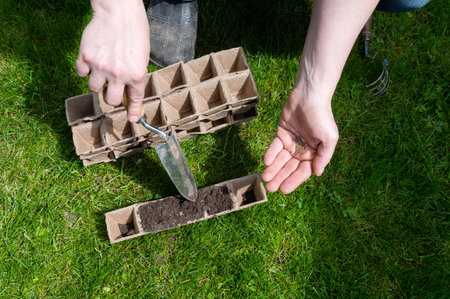 Close-up shot of hands holding seeds with biodegradable pots and gardening tools in the background, ready for spring plantingの写真素材