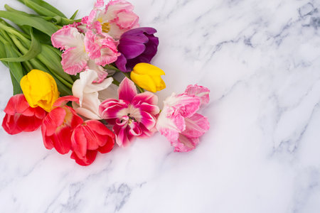 Assorted tulips and fringed pink flowers on marble background. Flat lay floral composition with copy space for spring season designの写真素材