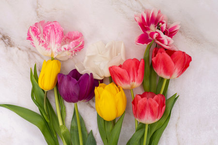Variety of colorful tulips on textured background. Springtime floral arrangement for Easter celebration and greeting card designの写真素材