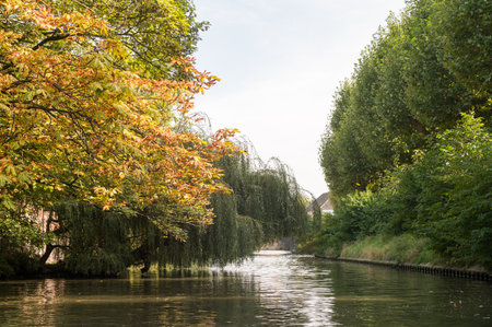 Colorful autumn leaves adorn trees beside a peaceful canal, hinting at seasonal changeの写真素材