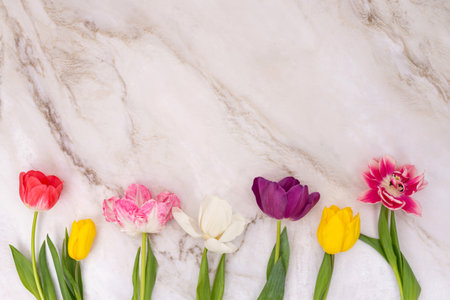 Variety of colorful tulips on textured background. Springtime floral arrangement for Easter celebration and greeting card designの写真素材