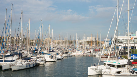 Serene marina with numerous sailboats docked on a clear day.の写真素材