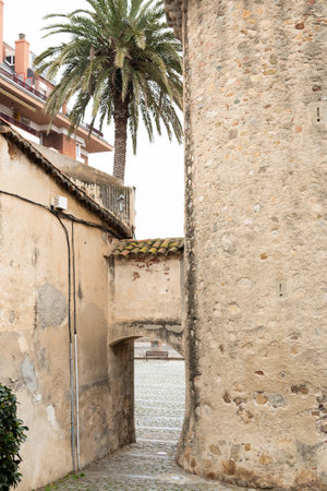 Historic stone alley with palm tree in mediterranean village.の写真素材