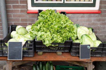 Fresh green lettuce and cabbage displayed outside a market stall.の写真素材