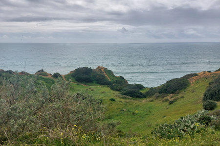An overcast sky looms above the rugged coastal cliffs adorned with lush greenery, featuring a serene view of the ocean horizonの写真素材