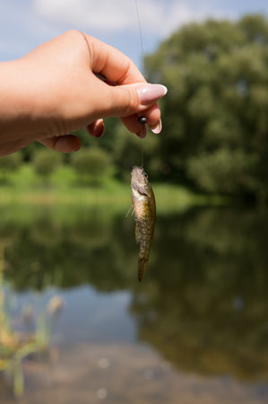 Female hand holding small fish by lake on sunny day.
