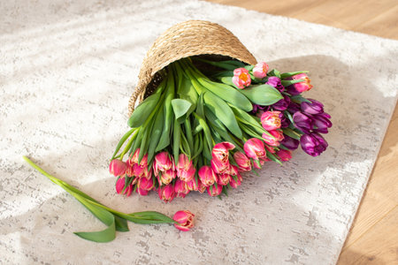 A fresh bunch of pink and purple tulips elegantly spilled from a woven hat onto a light wooden floor, hinting at spring's arrivalの写真素材