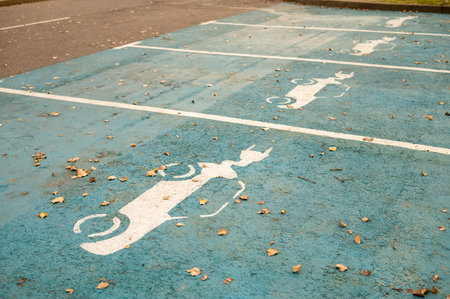 Empty blue handicapped parking spaces with white wheelchair markings and fallen leaves.の写真素材