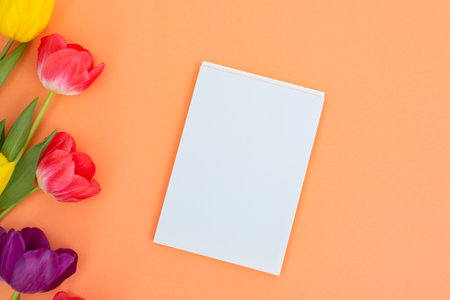 A vibrant arrangement of multicolored tulips neatly frames a white blank card on a soft peach backdrop, offering a perfect setting for a personalized messageの写真素材