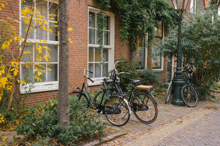 Bicycles parked by ivy-covered brick building on autumn afternoon.の写真素材