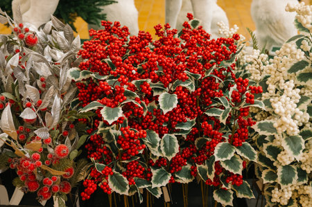 Vibrant red and white berries with green foliage display.の写真素材