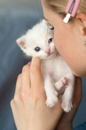 Young female holding adorable white kitten close to face.の写真素材
