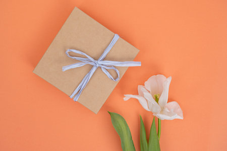 Gift box with ribbon and white tulip on vibrant orange background.の写真素材