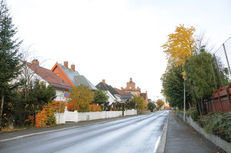 Quiet suburban street with autumn trees and houses on cloudy day.の写真素材