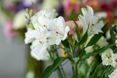 White lily flowers blooming among colorful bouquets in soft focus.の写真素材