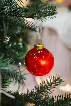 Red christmas bauble hanging on evergreen tree branch.の写真素材