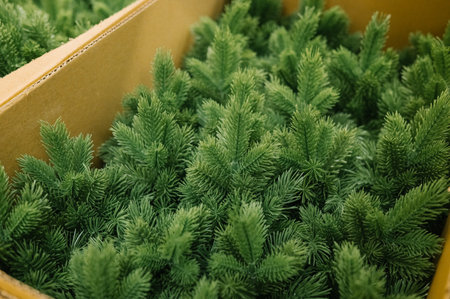 Packed artificial pine trees in cardboard boxes for seasonal decoration.の写真素材