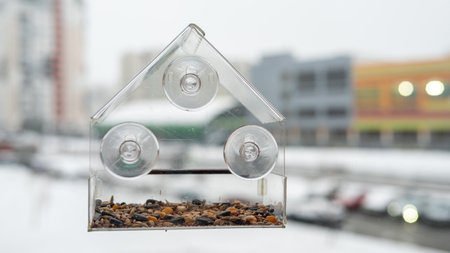 Transparent bird feeder attached to window with suction cups in urban winter setting.の写真素材
