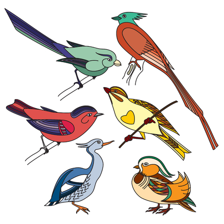Set of different color and variety of birds. Colorful illustration.のイラスト素材