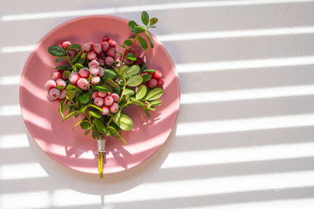 Cranberries and lingonberry. Set of wild northern berries.