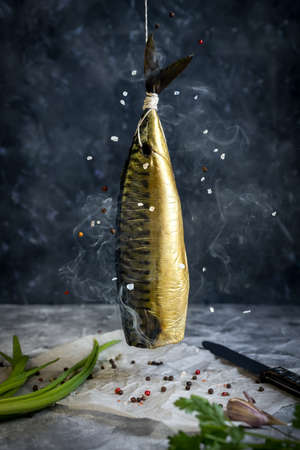 Smoked mackerel of cold smoked. Smoked Fish In Smokehouse Box. Close Up Smoking Process Fish For Home Use. Smoked Mackerel, Preparation Of Organic Foodの写真素材