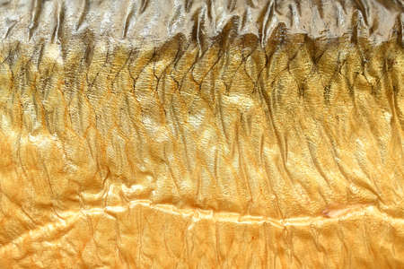 Golden brown smoked texture of fish skin, tasty and healthy foodの写真素材