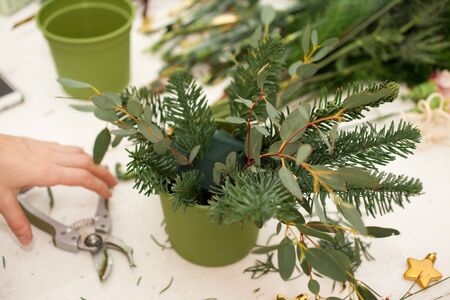 Creating a wonderful composition of cotton, cones, fir, magical variety carnations and delicious...