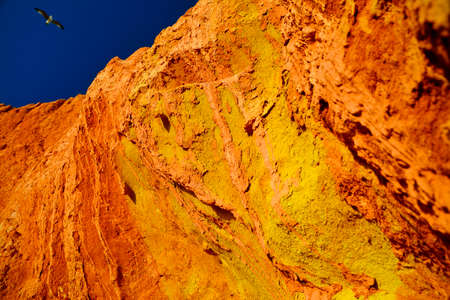 Seagull flies over colored rockの写真素材